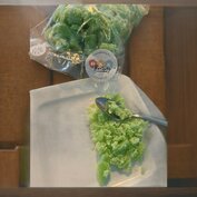 1 kilo fijne Hakhoning Eucalyptus